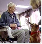 A man in a wheelchair, looking at a dog